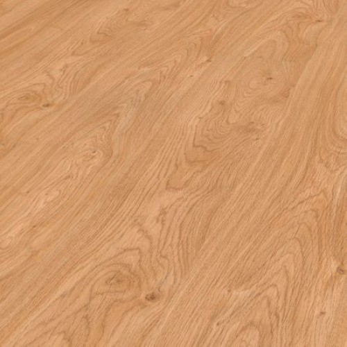 CORDOBA OAK